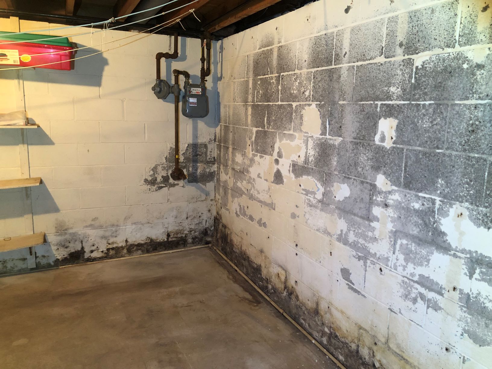 Mold removal