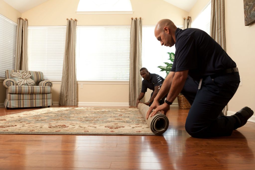 Mold removal