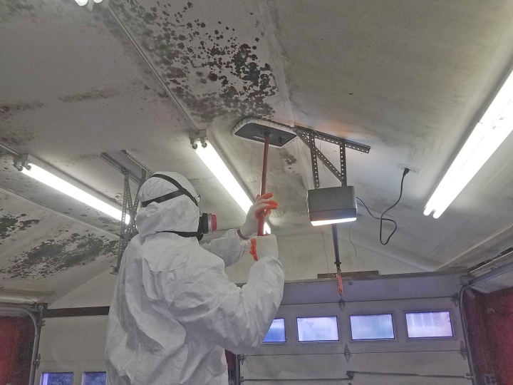 Mold removal